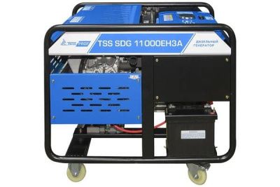 вид модели генератор дизельный tss sdg 11000eh3a